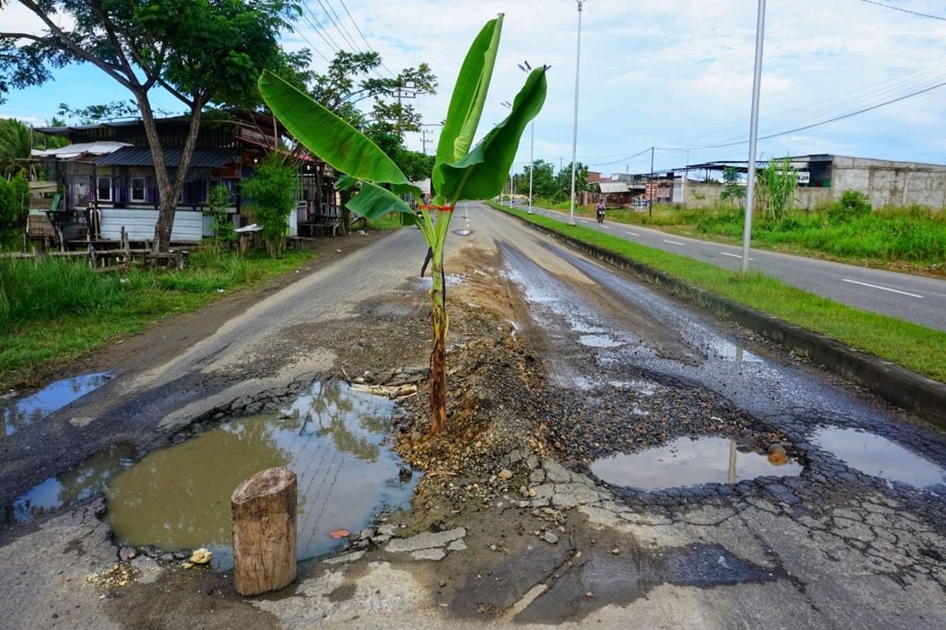 Infrastruktur Tulungagung Ngeri : Antara Pohon Pisang dan Jeratan Hukum