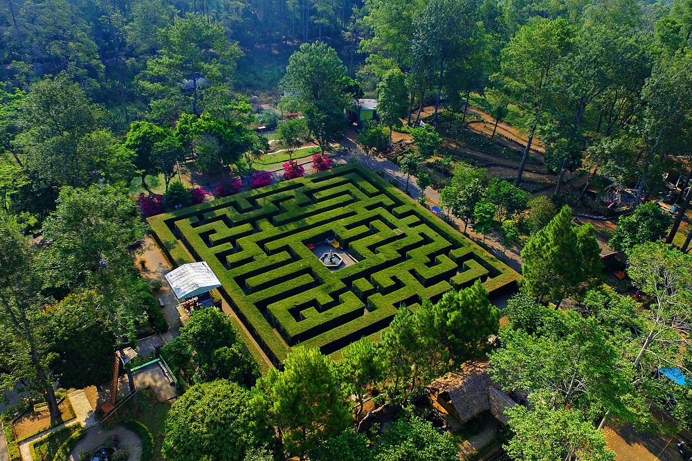 Menantang Otak, Pengunjung Harus Lalui Rute dalam 10 Menit di Taman Labirin