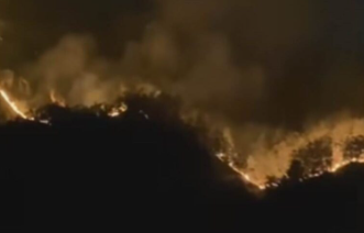 Karhutla Kembali Landa Gunung Bromo, Akses Sejumlah Jalur Wisata Ditutup