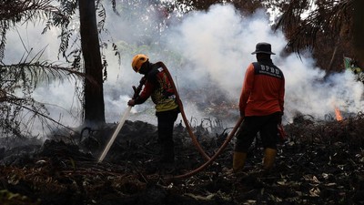 Korban Jiwa Bertambah, Karhutla di Ketapang Kalbar Masih Sulit Dikendalikan