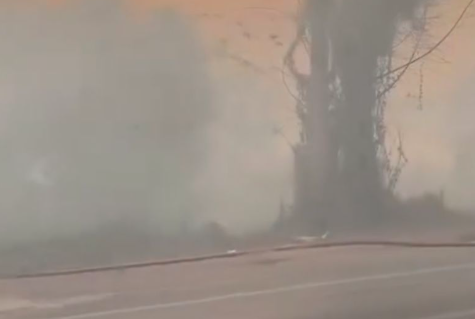Karhutla Kalsel Makin Meluas, Api Dekati Permukiman, Kabut Asap Ganggu Warga